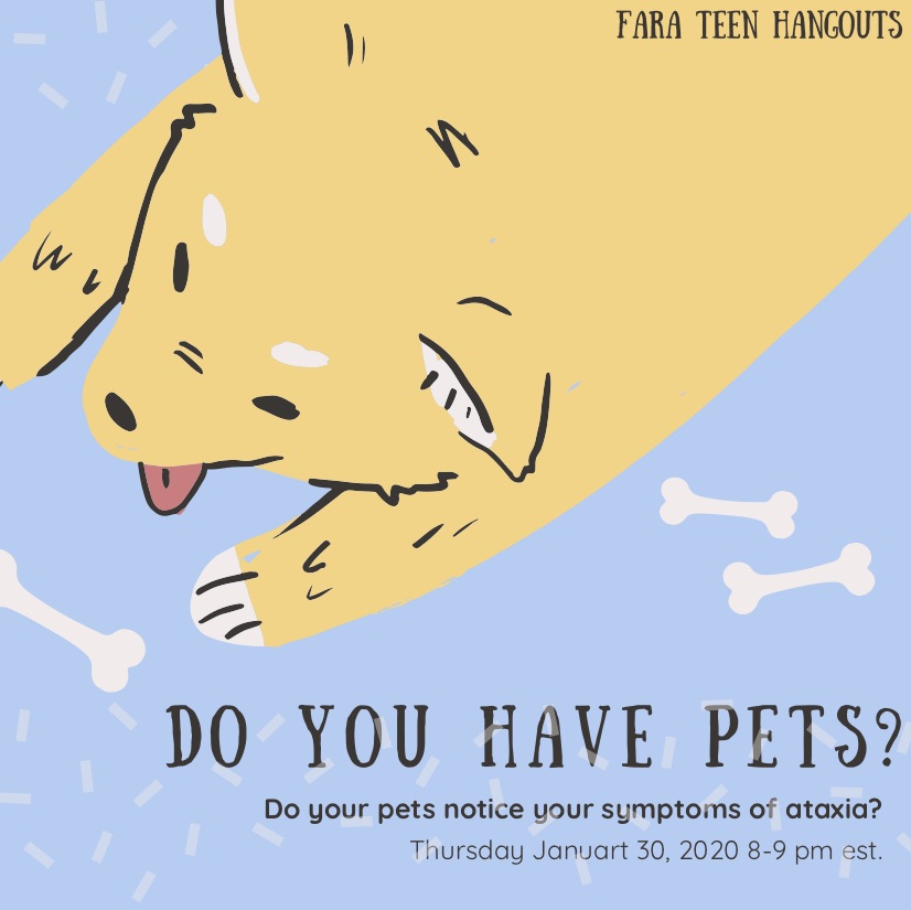 lets talk about pets
