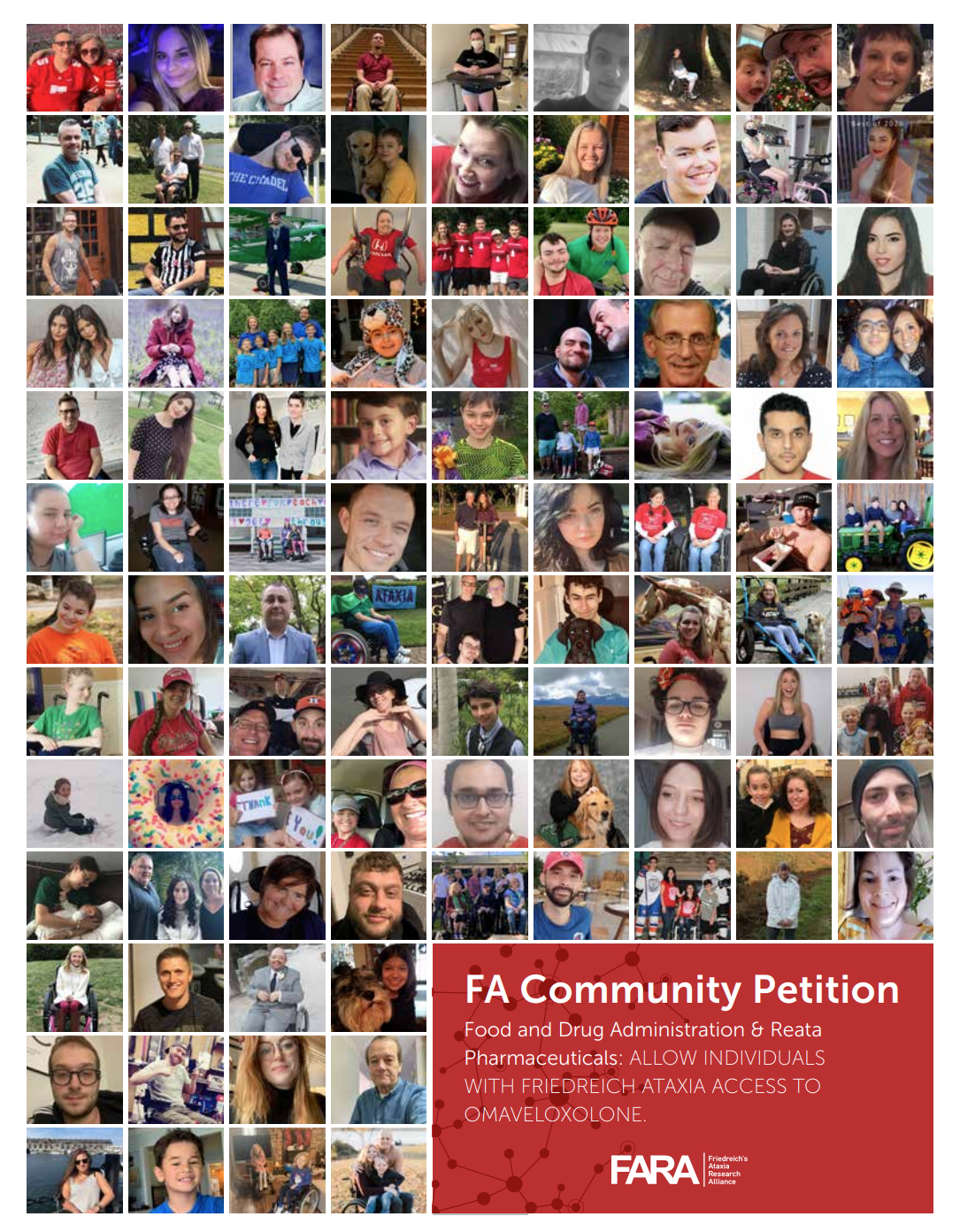 Screenshot 2025 11 30 121729