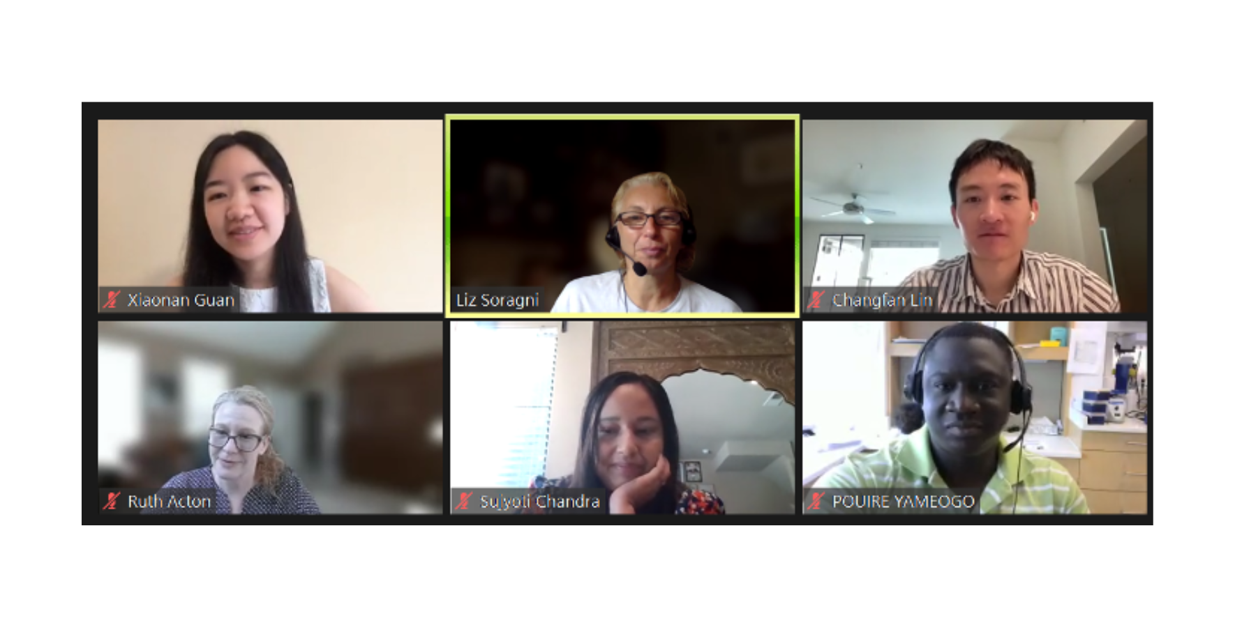 FARA Fellows on a Zoom call