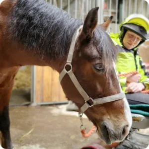 Portrait of Brona Kearney