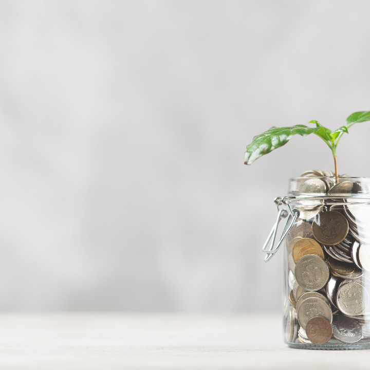 A jar of coins with a shoot growing out