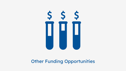 other funding opportunities icon - three test tubes - blue