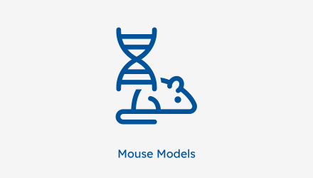 blue icon for mouse models