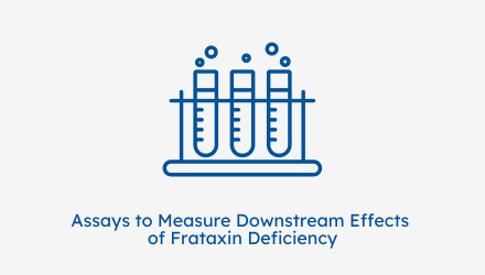 blue icon for assays to measure downstream effects of frataxin deficiency
