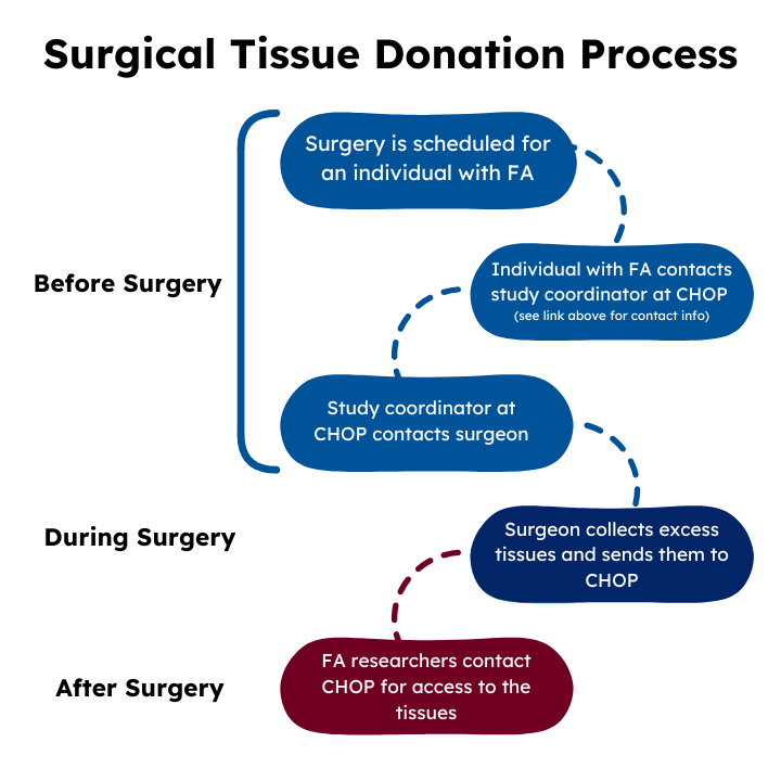 Surgical Tissue Donation Process square