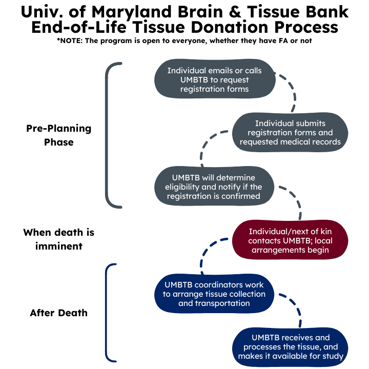 UMBTB Tissue Donation Process 1