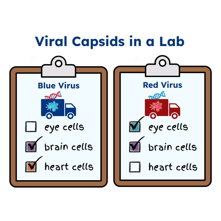 Genetic Therapy Images 1 1