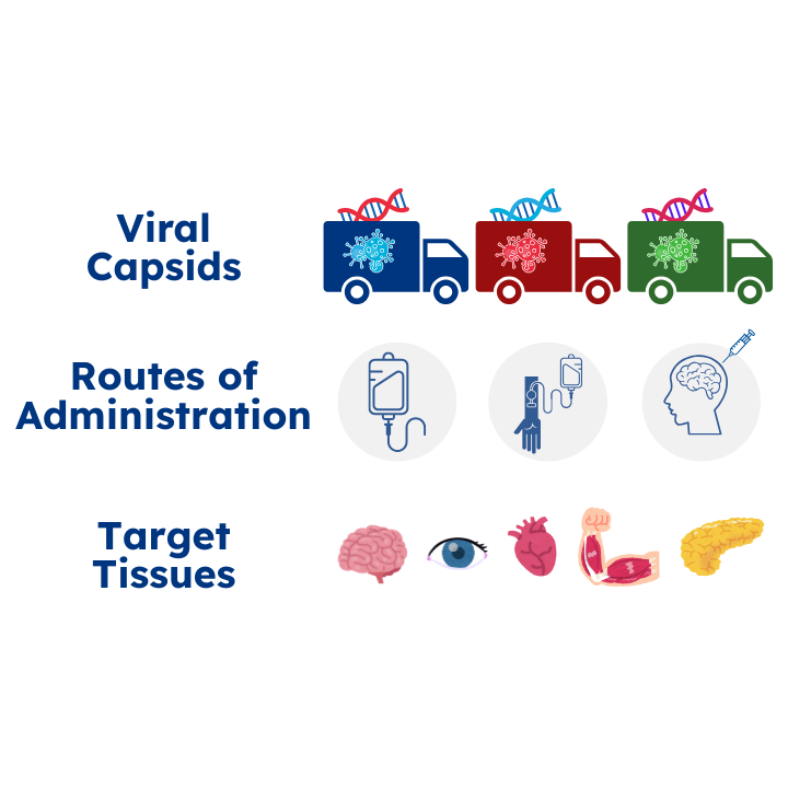 Genetic Therapy Images 4